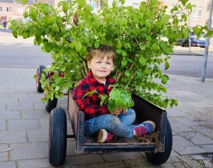 Hoofdbeeld Struikroven