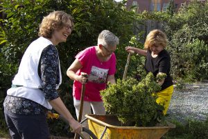 Persbericht Struikroven
