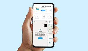 Franse Gat bouwapp (2)